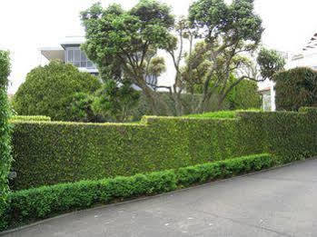 Ascot Parnell