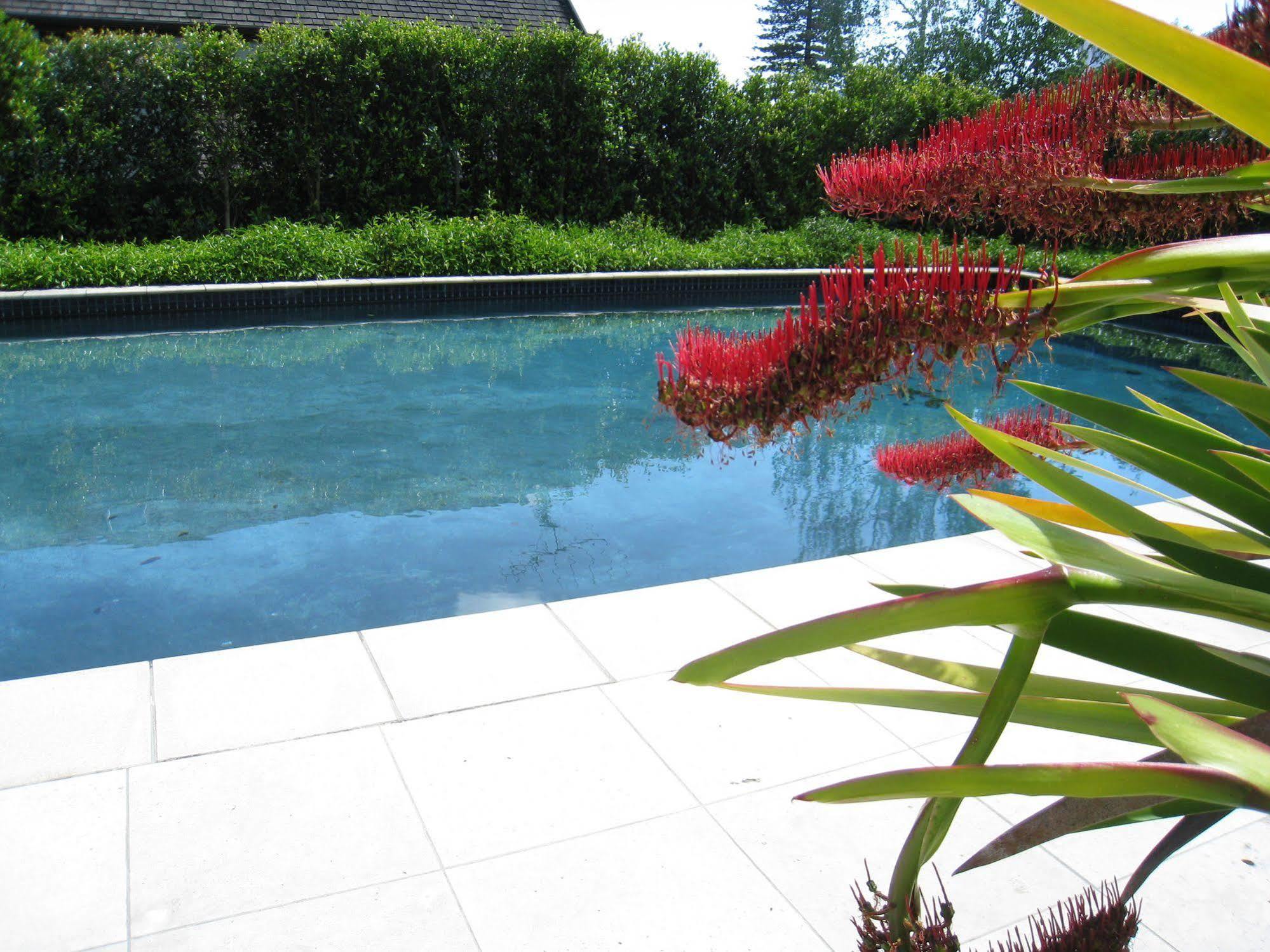 Ascot Parnell Bed & Breakfast 5*