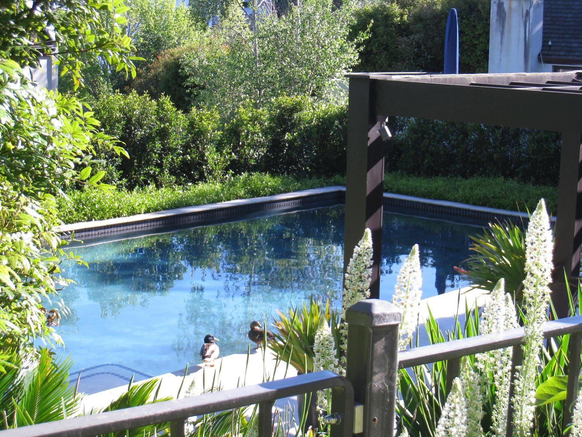 Bed & Breakfast Ascot Parnell 5*